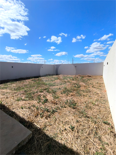 Foto REO1099744