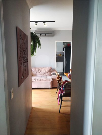 Foto REO1099769