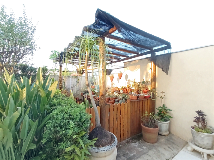 Foto REO1099774