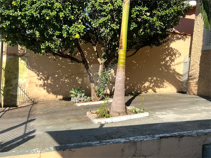 Foto REO1099775