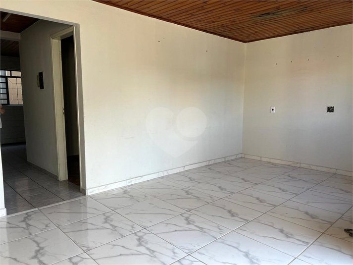 Foto REO1099775