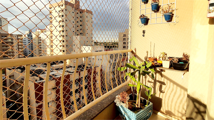 Foto REO1099781