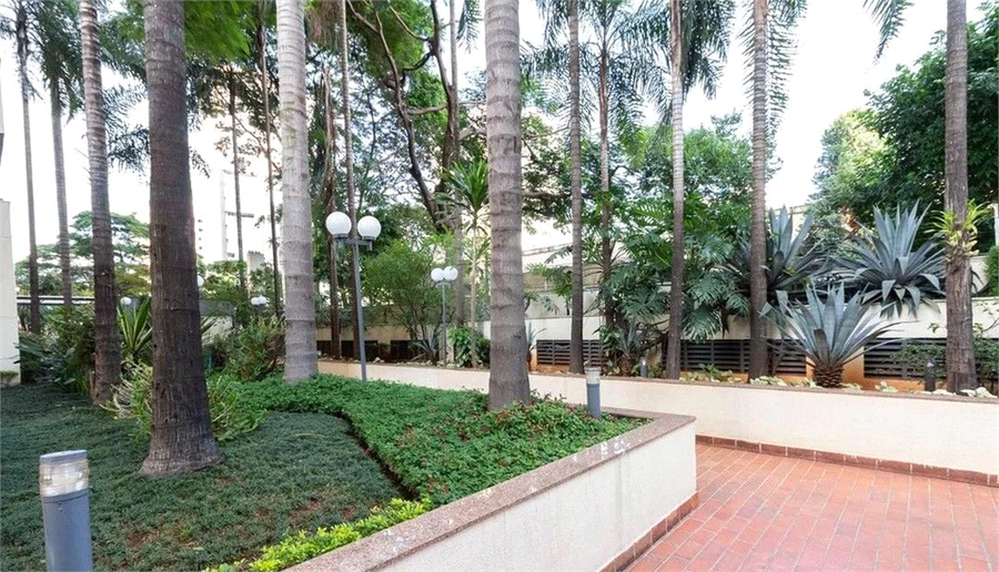 Foto REO1099782