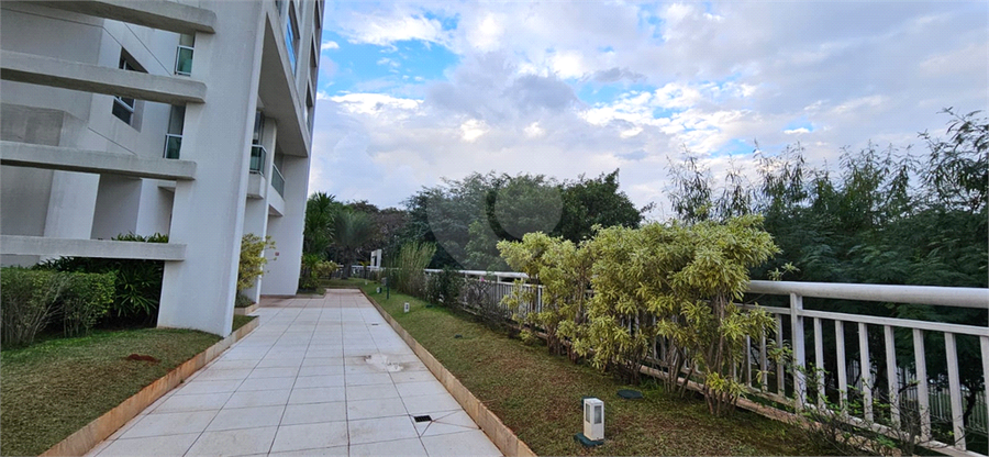 Foto REO1099786
