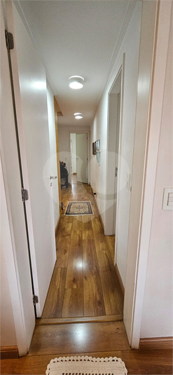 Foto REO1099786