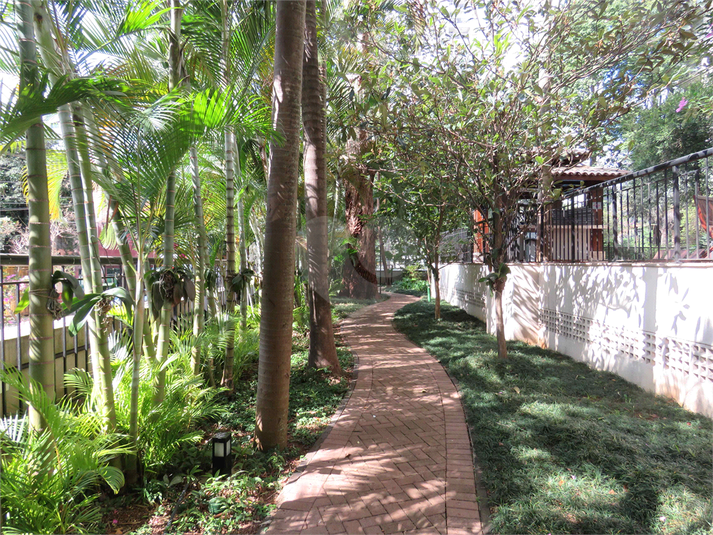 Foto REO1099795