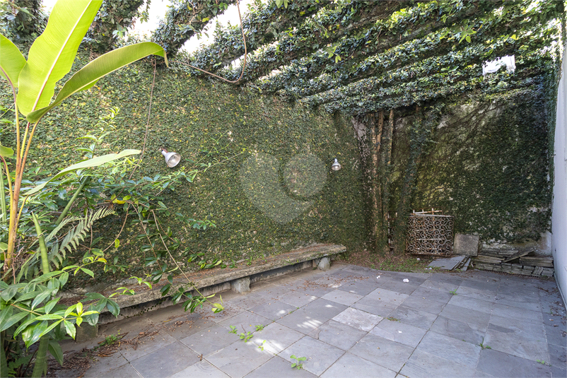Foto REO1099806