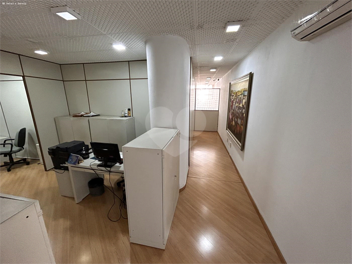 Foto REO1099814