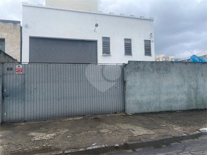 Foto REO1099816