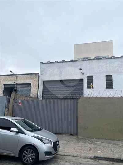 Foto REO1099816