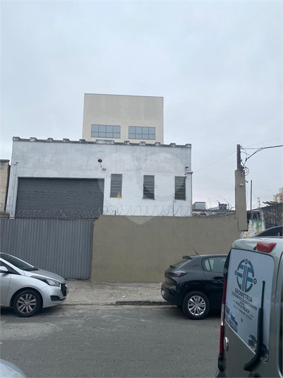 Foto REO1099816