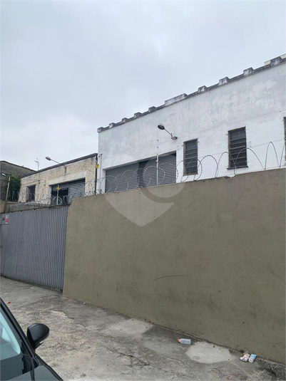 Foto REO1099816
