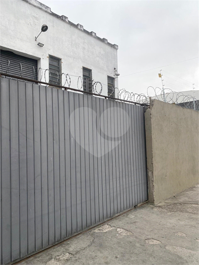 Foto REO1099816