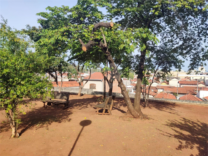 Foto REO1099822