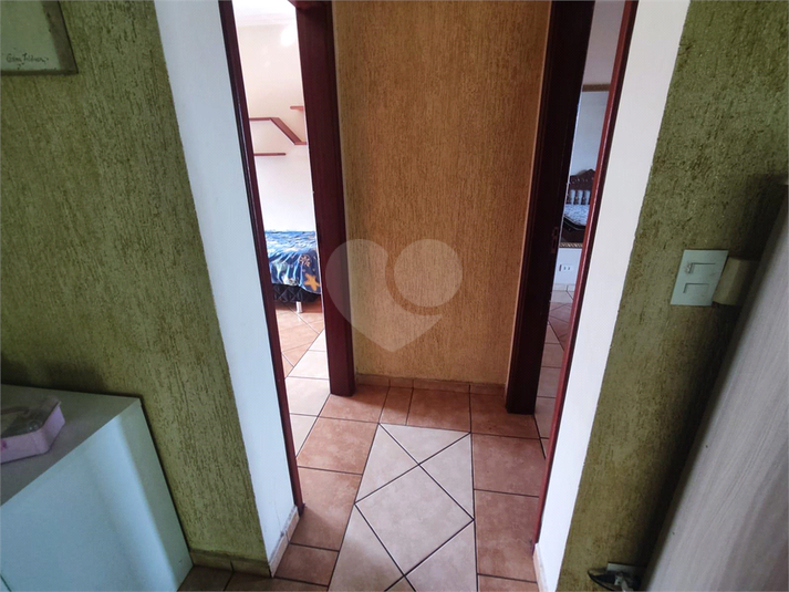 Foto REO1099822