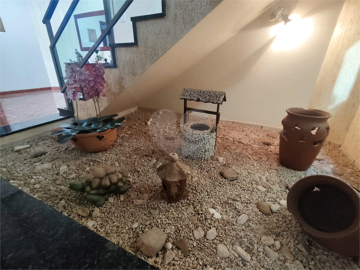Foto REO1099822