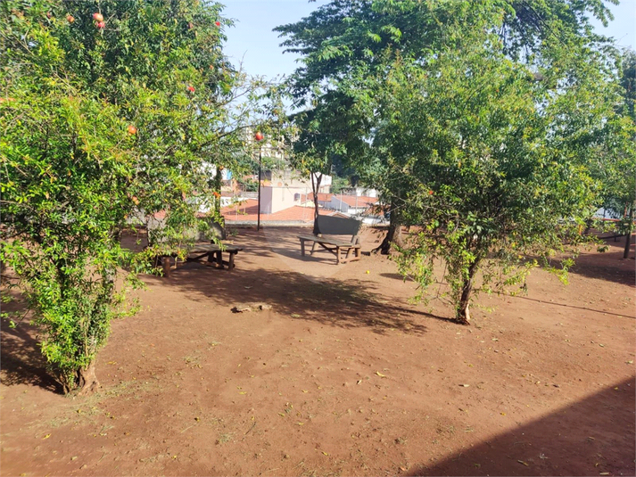 Foto REO1099822