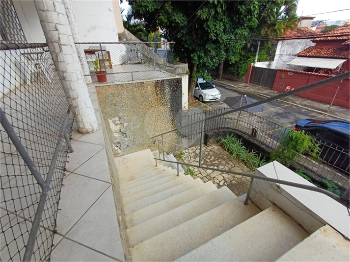 Foto REO1099825