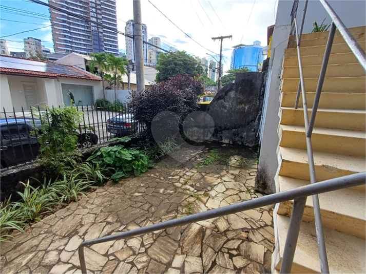 Foto REO1099825