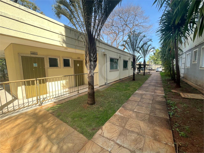 Foto REO1099829