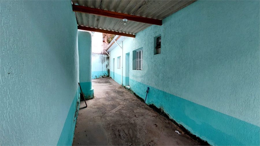 Foto REO1099835