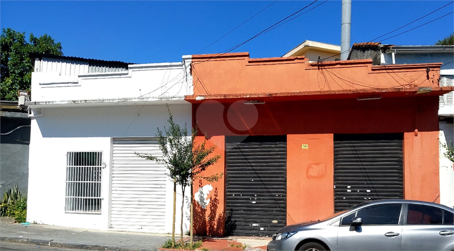 Foto REO1099835