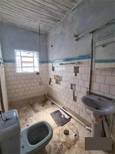 Foto REO1099835