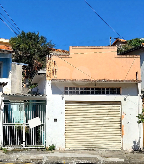 Foto REO1099835