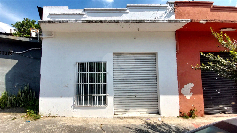 Foto REO1099835