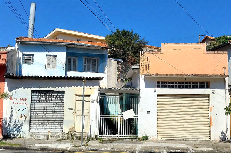 Foto REO1099835