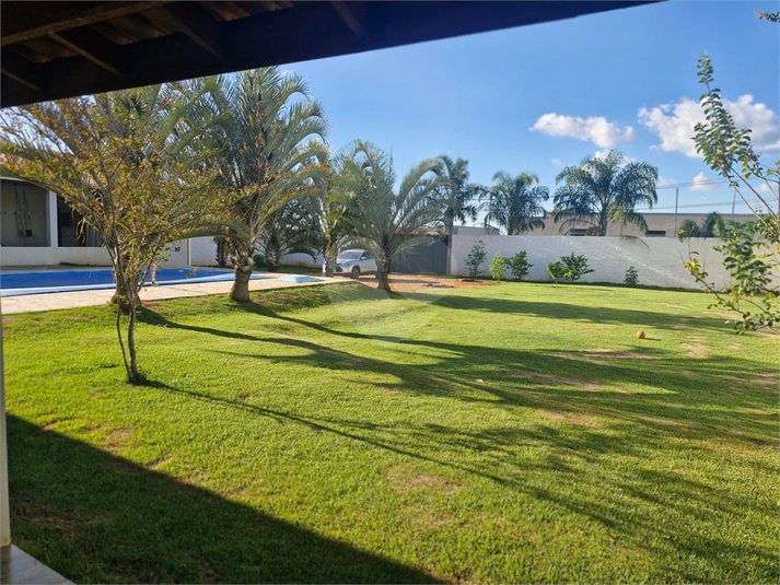 Foto REO1099839