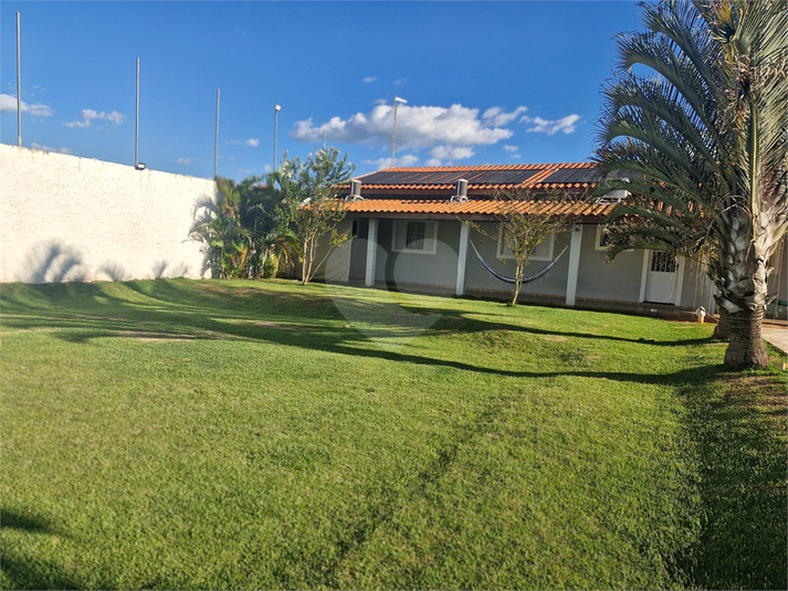 Foto REO1099839