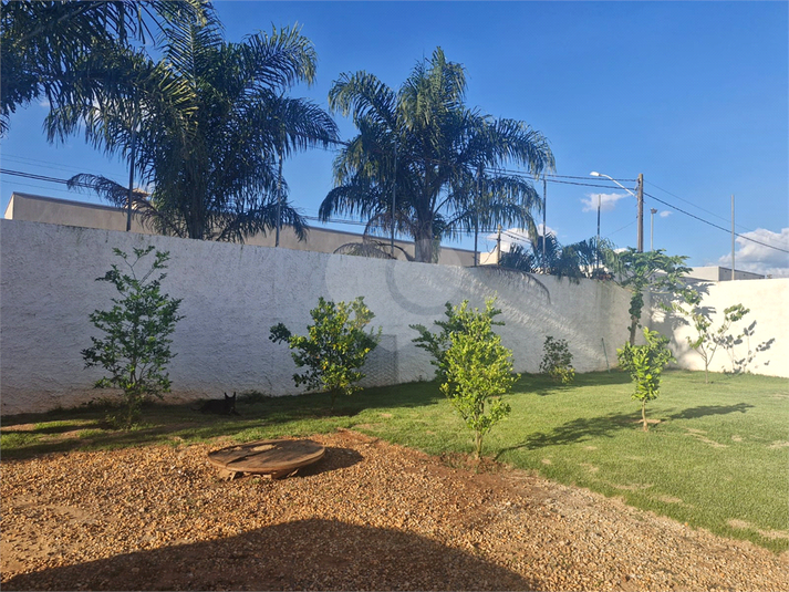 Foto REO1099839