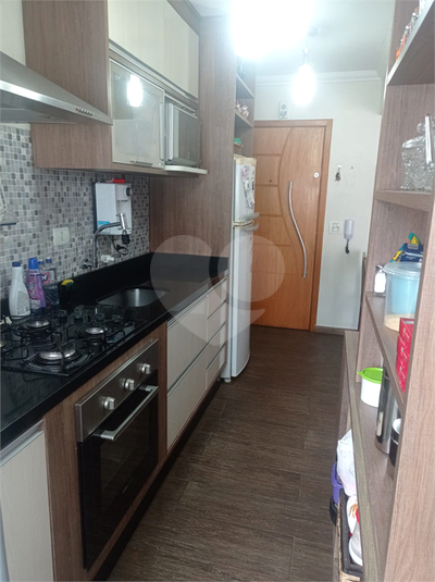 Foto REO1099842