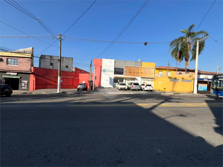 Foto REO1099845