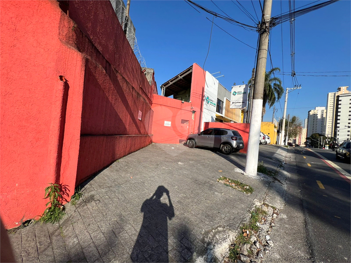 Foto REO1099845