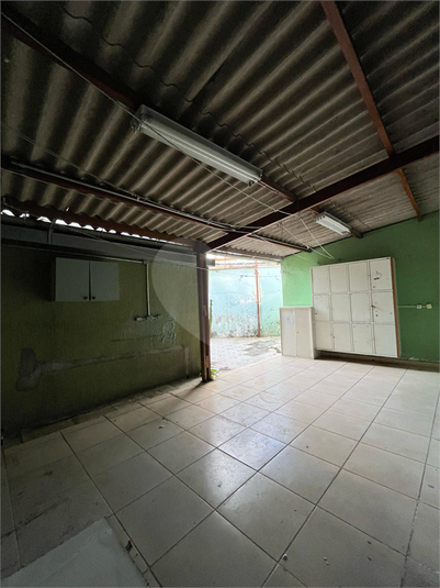 Foto REO1099845