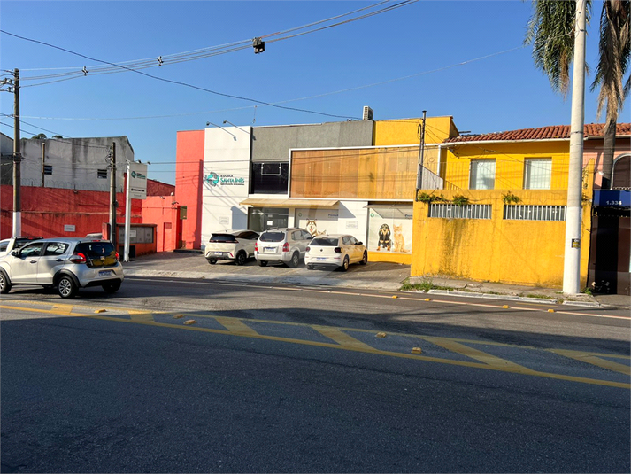 Foto REO1099845