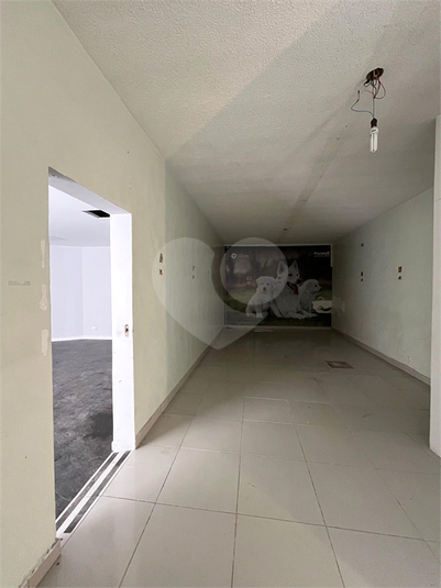Foto REO1099845