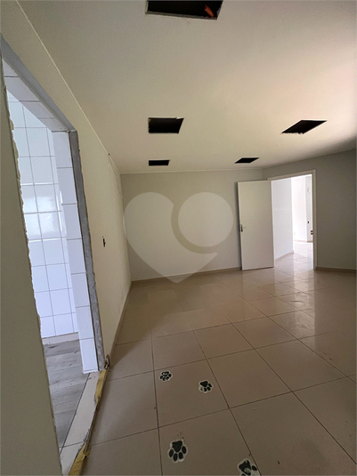Foto REO1099845