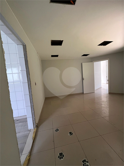 Foto REO1099845