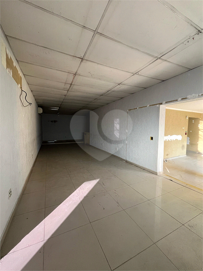Foto REO1099845