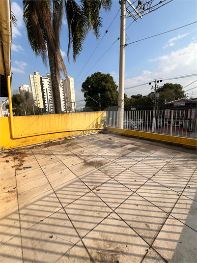 Foto REO1099845