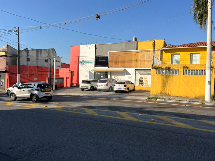 Foto REO1099845