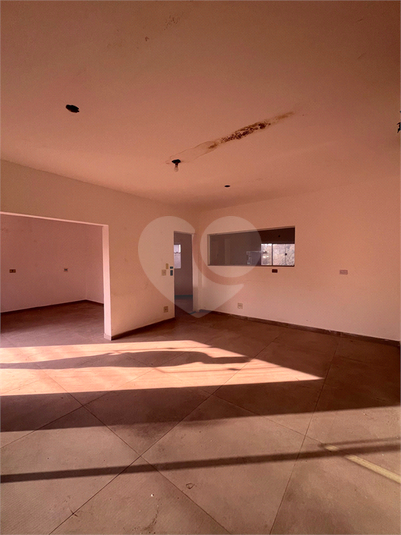 Foto REO1099845