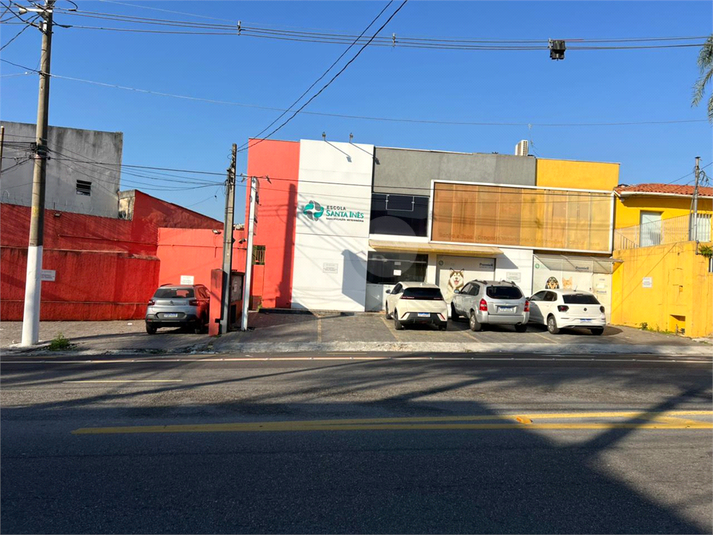 Foto REO1099845