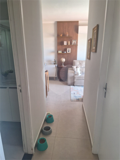 Foto REO1099846