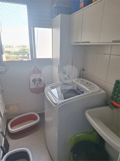 Foto REO1099846