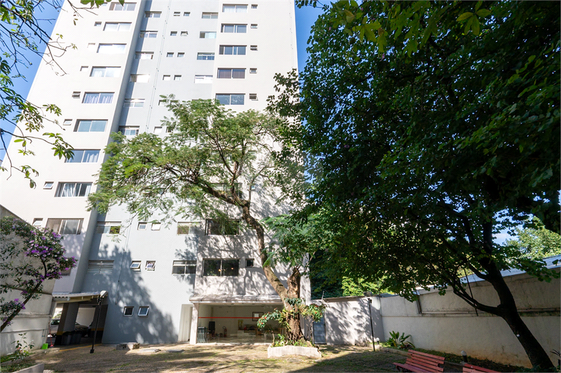 Foto REO1099849