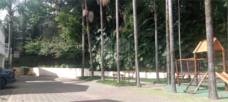 Foto REO1099853